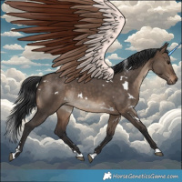 Horse Color:White Spotted Brown Dun 