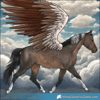 Horse Color:Brown Dun Tobiano 