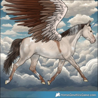 Horse Color:White Spotted Classic Champagne Dun 