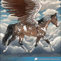 Horse Color:White Spotted Brown Dun Brindle 
