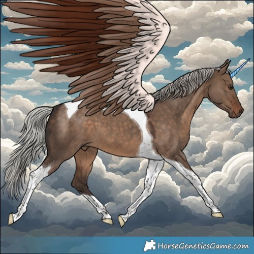 Horse Color:Silver Brown Dun Tobiano 