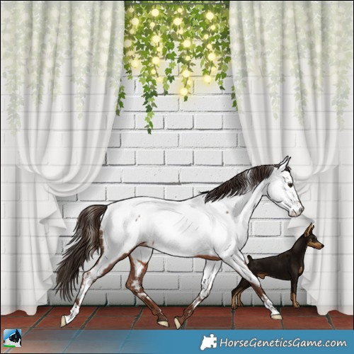 Horse Color:Liver Chestnut Fewspot