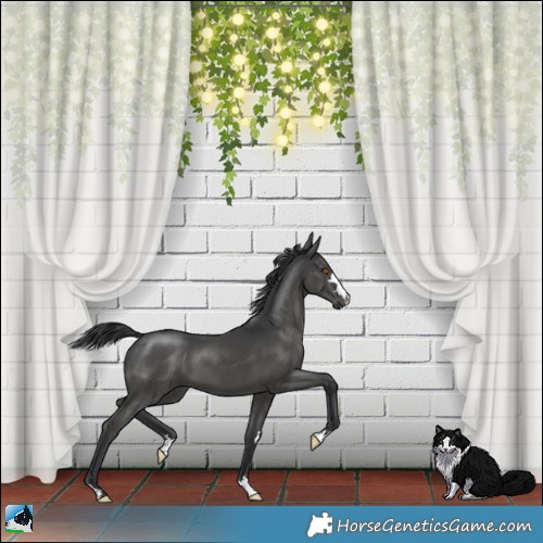 Horse Color:Black Mushroom 