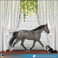 Horse Color:Grullo Mushroom 