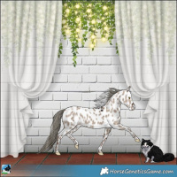 Horse Color:Liver Red Dun Mushroom Leopard