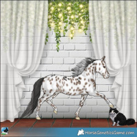 Horse Color:Liver Red Dun Leopard Rabicano 