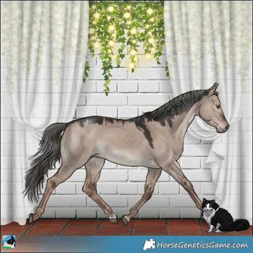 Horse Color:Liver Red Dun Mushroom 