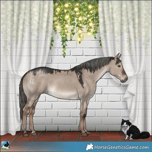 Horse Color:Liver Red Dun Mushroom