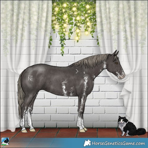 Horse Color:Liver Chestnut Mushroom Sabino 