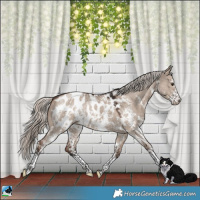 Horse Color:Liver Red Dun Mushroom Sabino Appaloosa Rabicano 