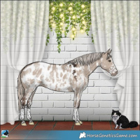 Horse Color:Liver Red Dun Mushroom Sabino Near Leopard Rabicano 