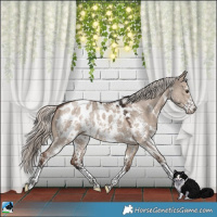 Horse Color:Liver Red Dun Mushroom Sabino Near Leopard Rabicano