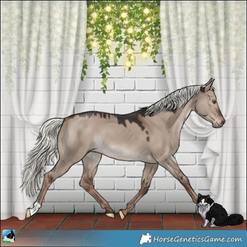 Horse Color:Liver Red Dun Mushroom Rabicano