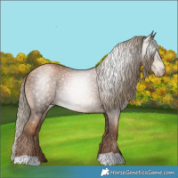 Horse Color:Gray Liver Chestnut Pearl Mushroom