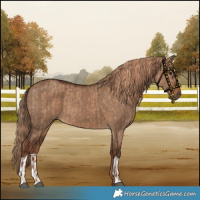 Horse Color:Red Dun  and Liver Red Dun 