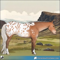Horse Color:Silver Bay Blanket
