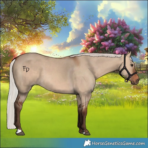 Horse Color:Silver Bay Dun 