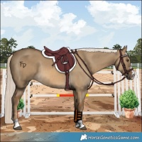 Horse Color:Chocolate Palomino Dun Rabicano