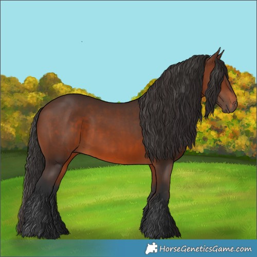 Horse Color:Brown Rabicano and Brown Rabicano