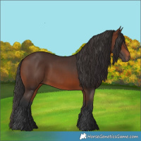 Horse Color:Brown Rabicano  and Brown Rabicano 