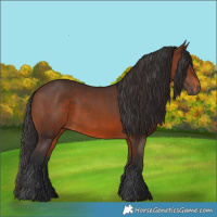 Horse Color:Brown Rabicano  and Brown Rabicano 