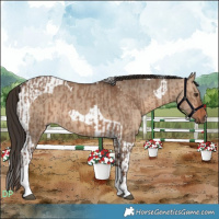 Horse Color:Liver Red Dun Tobiano and Bay Dun Tobiano