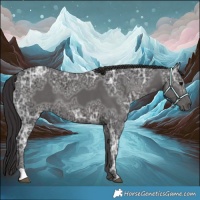 Horse Color:Smoky Black Ice 