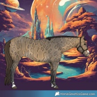 Horse Color:Buckskin Ice 