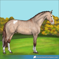 Horse Color:Chocolate Bay Dun Splash Varnish Brindle 