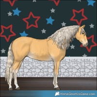 Horse Color:Palomino