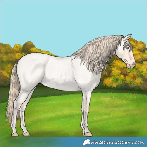 Horse Color:Perlino Roan