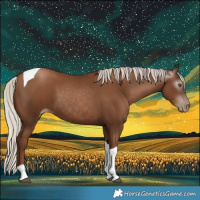 Horse Color:Gray Silver Black Pearl Tobiano