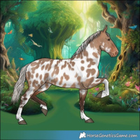 Horse Color:Silver Brown Dun Tobiano Near Leopard
