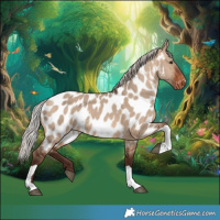 Horse Color:Silver Brown Dun Tobiano Appaloosa