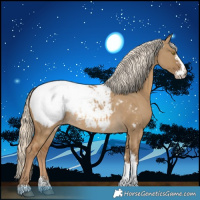 Horse Color:Chocolate Palomino Dun Sabino Appaloosa Rabicano 