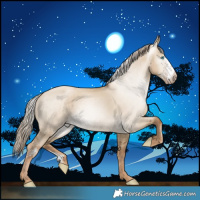Horse Color:Gray Chocolate Palomino Pearl Dun Sabino Appaloosa Rabicano 