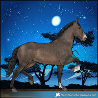 Horse Color:Brown Dun Sabino Appaloosa Rabicano 