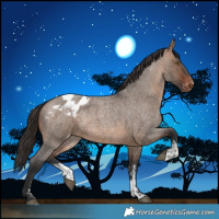 Horse Color:Brown Roan Dun Sabino Blanket 