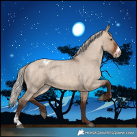 Horse Color:Silver Brown Roan Dun Sabino Appaloosa