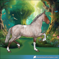 Horse Color:Silver Brown Roan Tobiano Appaloosa