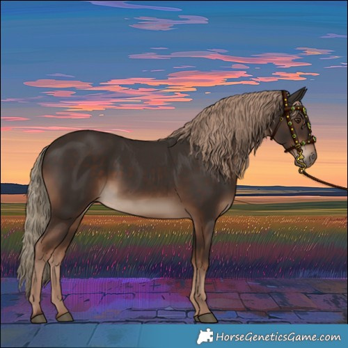 Horse Color:White Spotted Liver Chestnut 