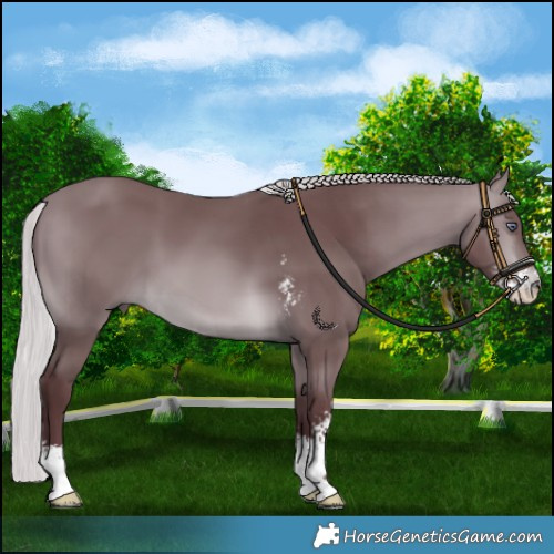 Horse Color:Chocolate Silver Brown Chinchilla Sabino 