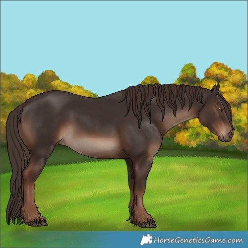 Horse Color:White Spotted Liver Chestnut