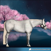 Horse Color:Buckskin Roan Pearl and Perlino Roan