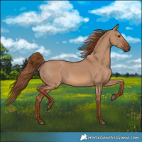 Horse Color:Red Dun 