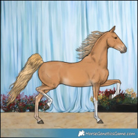 Horse Color:Chestnut Tobiano 