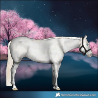 Horse Color:Buckskin Roan Pearl  and White Spotted Buckskin Pearl 
