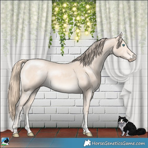 Horse Color:Perlino Mushroom Sabino Rabicano