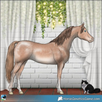 Horse Color:Perlino Mushroom Sabino Rabicano 