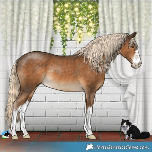 Horse Color:White Spotted Chocolate Palomino Rabicano 